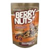 Bolitas de ganola Pretzel y Arándano Mix 180 g