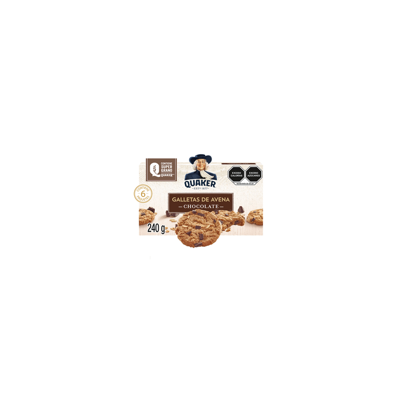 Galletas de avena sabor Chocolate 6 paquetes 240 g